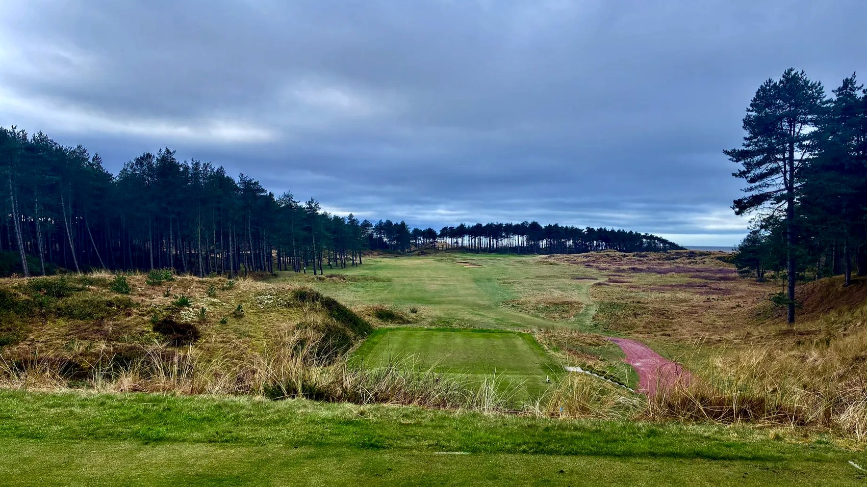 Looking down a Formby fairway from the tee, between tall pines and dunes, with the sea on the horizon